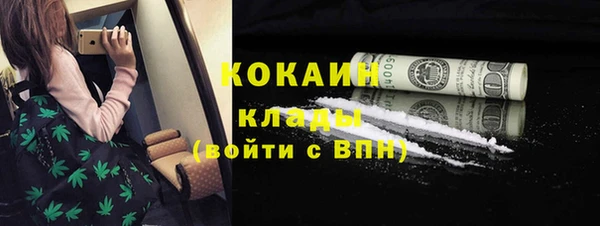 сатива Аркадак