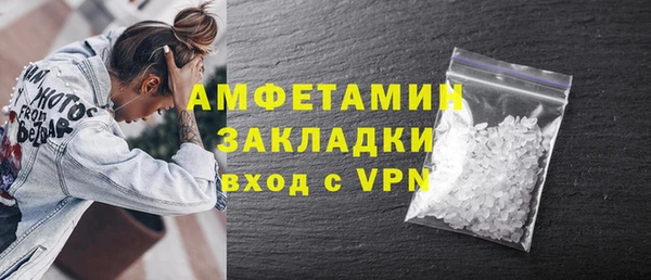 сатива Аркадак
