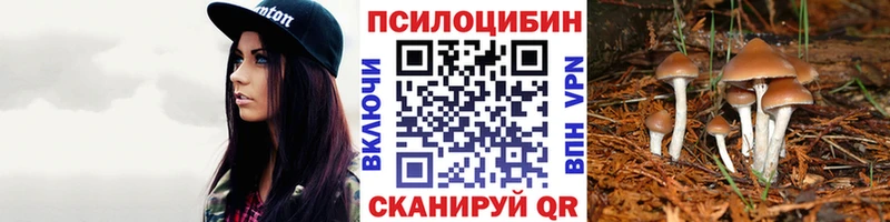 Псилоцибиновые грибы Cubensis  Артёмовск 